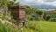 Illustrative dark timber beehive in an Irish walled garden with wildflowers