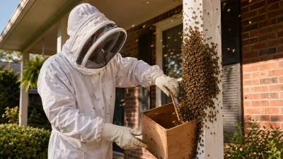 Professional beekeeper in white suit safely relocating a honey bee colony from a suburban home exterior.
