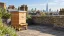 Illustrative rooftop beehive on a London terrace with brick chimneys and the Shard in the distance