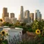 Los Angeles skyline with urban greenery