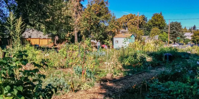 Urban garden in Portland integrating beekeeping