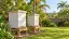 Illustration of a Queensland garden apiary with closed timber hives and lush plants