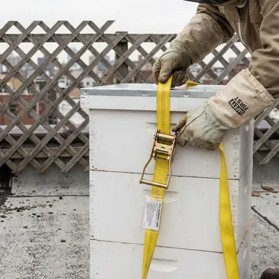 Beekeeper securing hive with straps