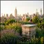 Rooftop beehives in a dense city neighborhood, similar to Boston apiary sites