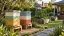 Illustration of a Melbourne style residential garden with closed wooden beehives