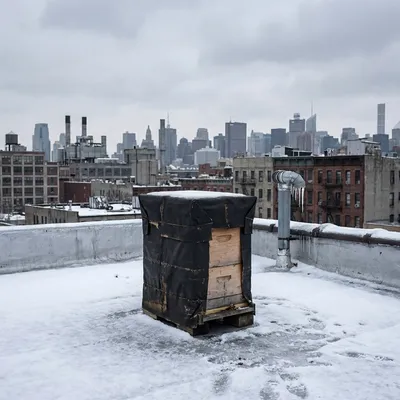 Beehive wrapped in black insulation in snow