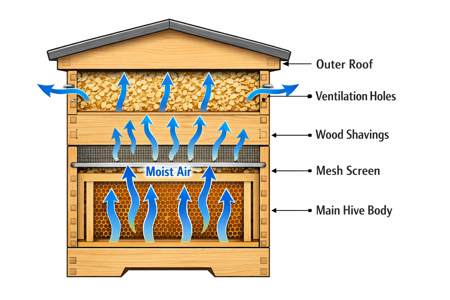 Beehive wrapped in black tar paper with ratchet strap