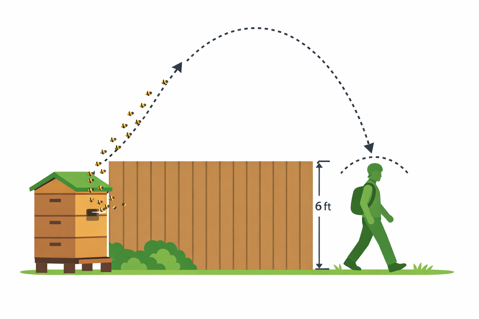 Flow Hive key inserted to drain honey