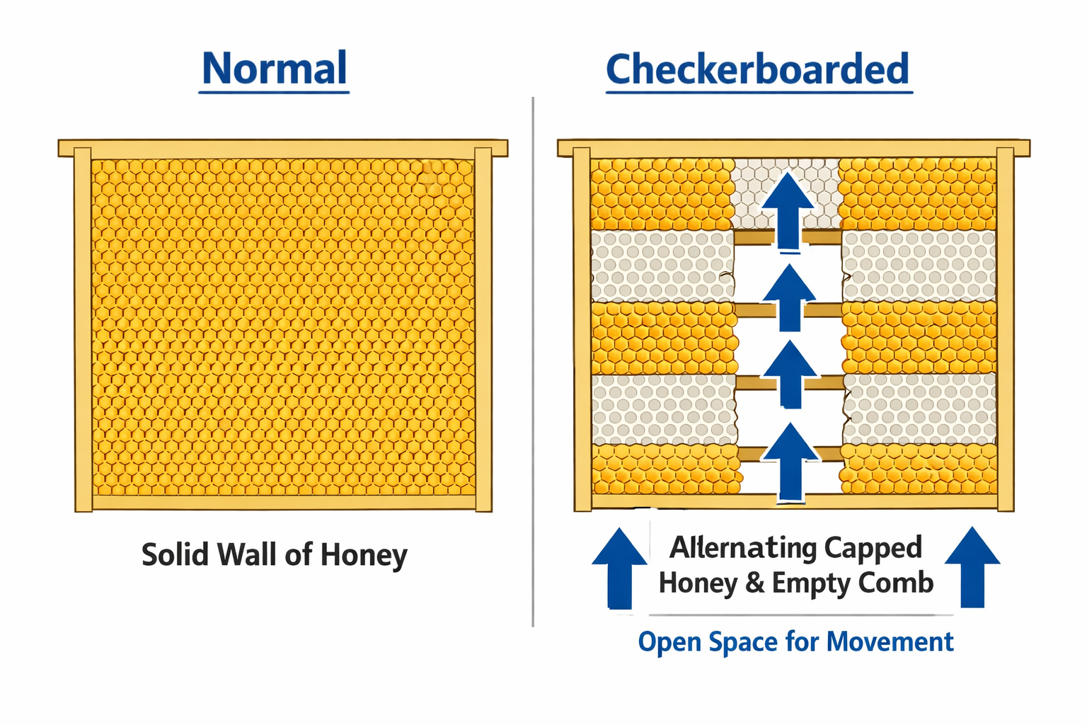 Electric smoker emitting cool vapor